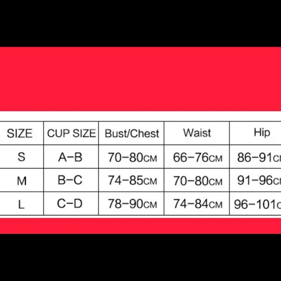 NWT Brazilian Style Women Sexy 🔥🔥Underwired Padded Embroidered Bra Large - Picture 10 of 11